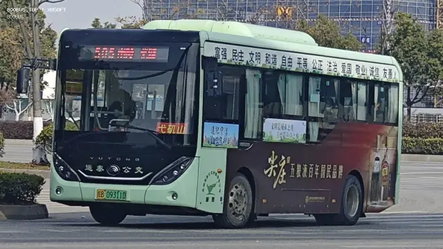 800BUS