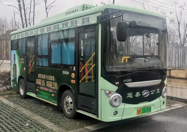 800BUS