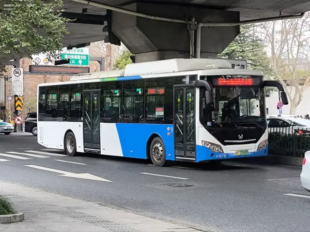 800BUS