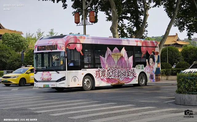 苏A 01917D