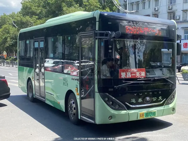 800BUS