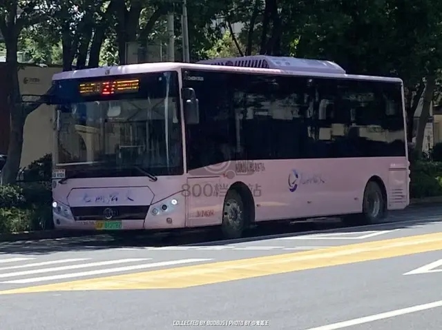 皖B 08128D