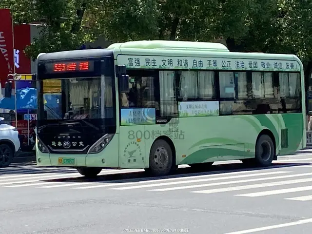 800BUS