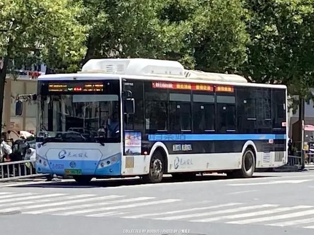 皖B 08276F