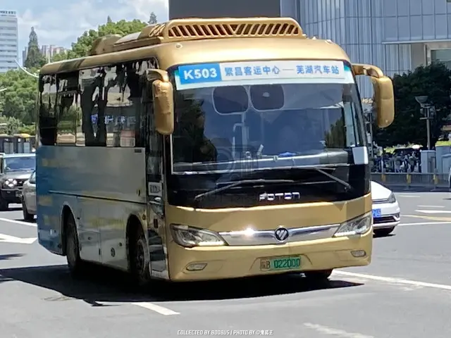 800BUS