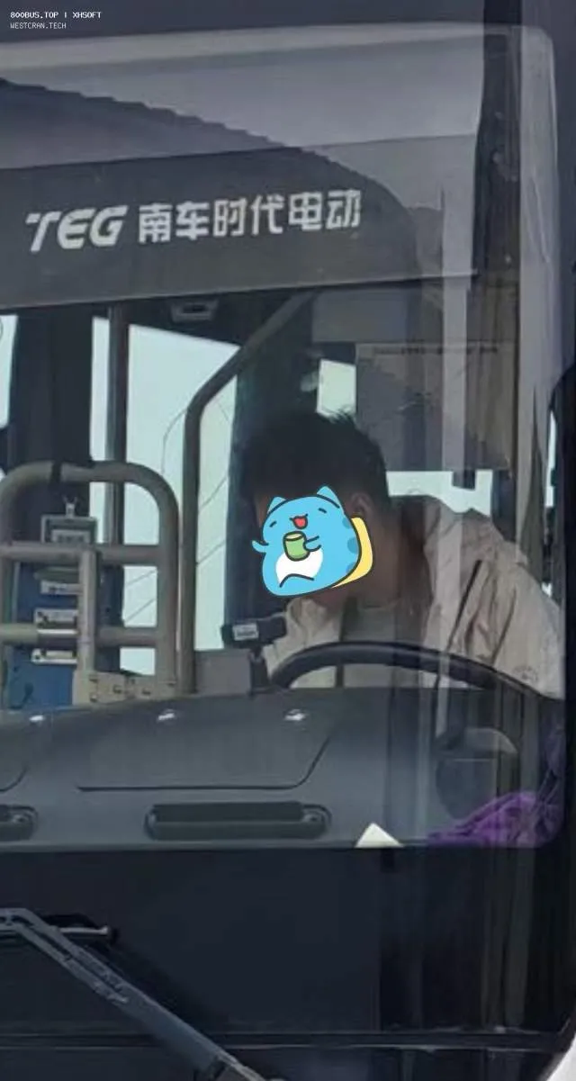 800BUS