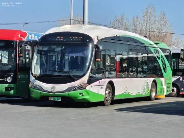 鲁F06119D