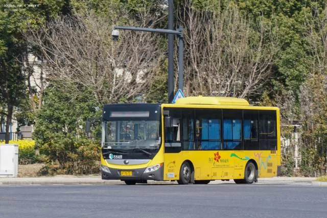 浙F M5757
