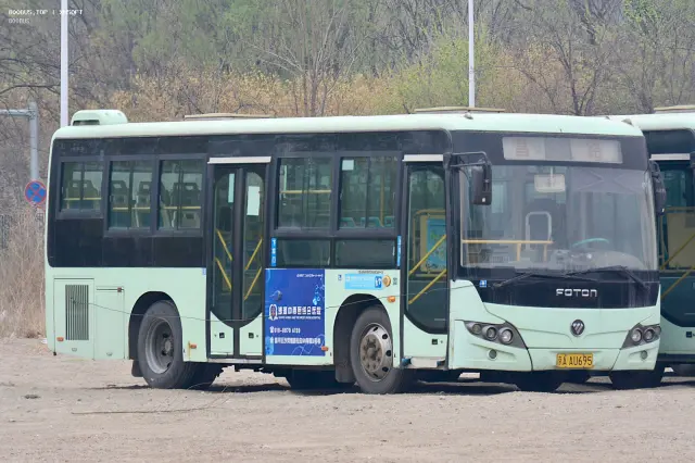 800BUS