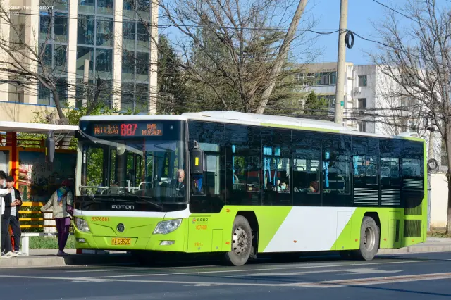 800BUS