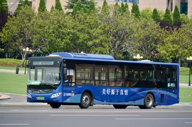 鲁B 06652D
