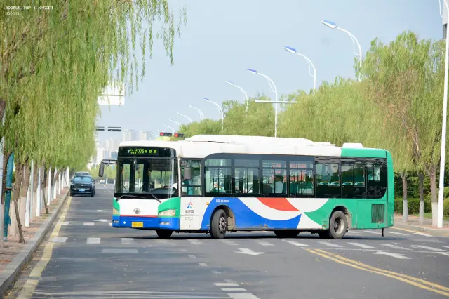 800BUS