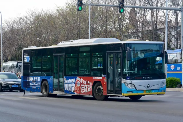 800BUS