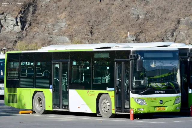 800BUS