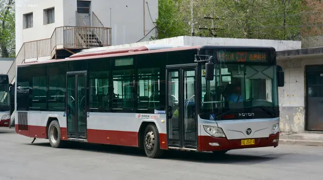 800BUS