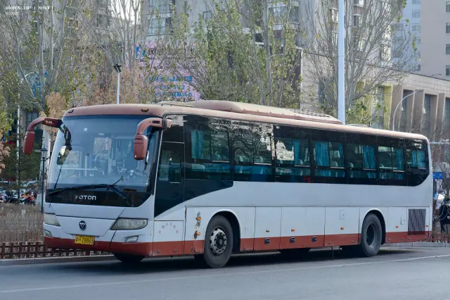 800BUS