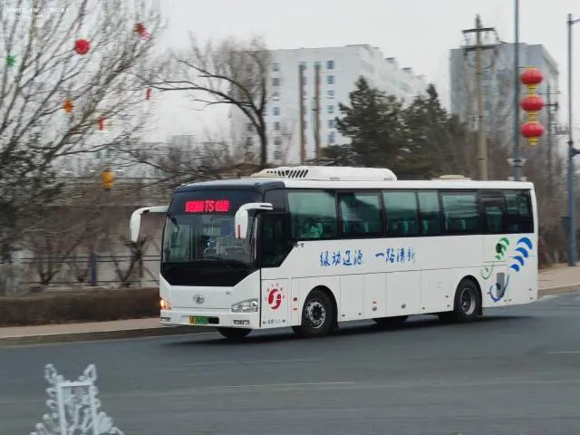 吉D 06890D