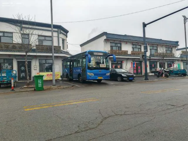 吉D 24005