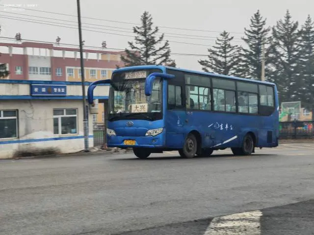 吉D 24005