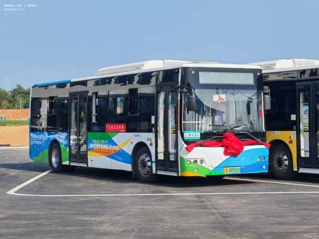 辽A 08916D