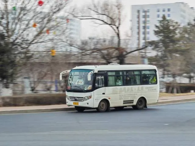 辽A DR161