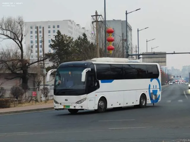 吉D 08882D