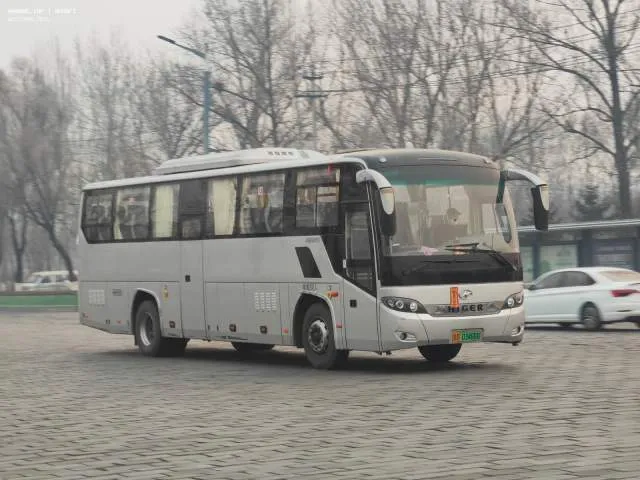 吉D 03466D