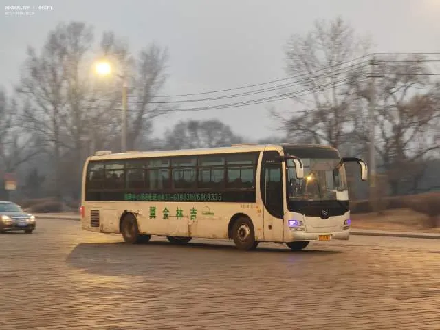 吉D 23342