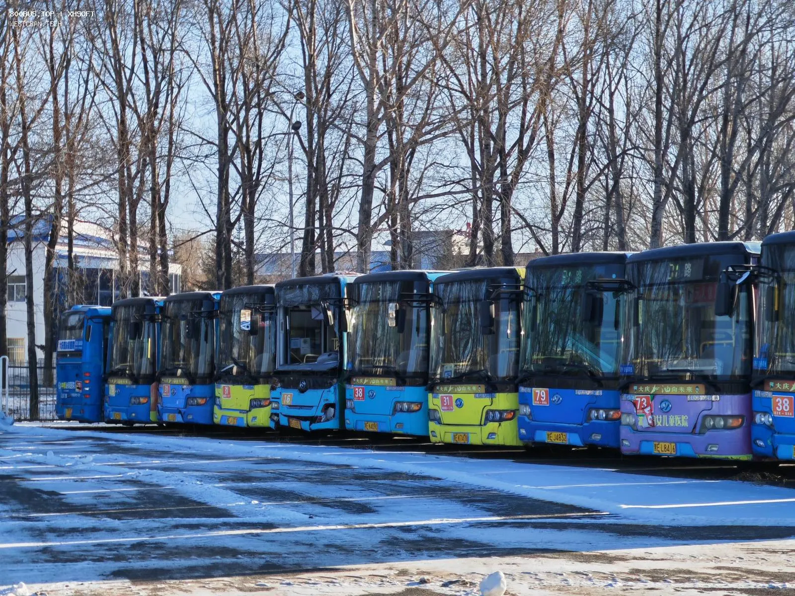 Bus Archive