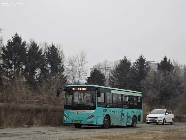 吉D00677D