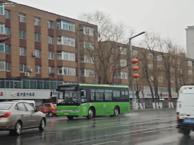 800BUS