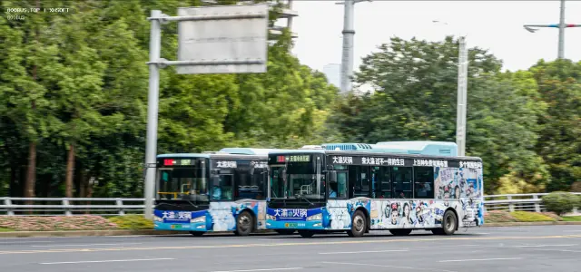 苏B 08126D