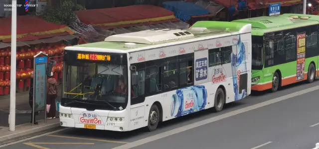 800BUS