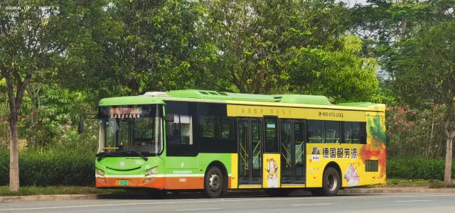 800BUS