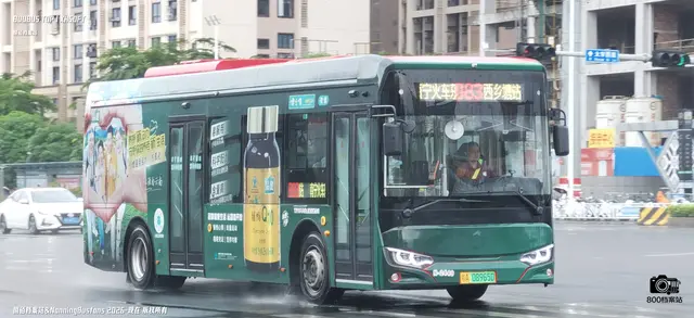 桂A 08965D