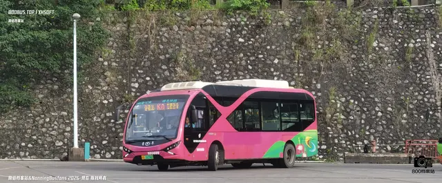 800BUS
