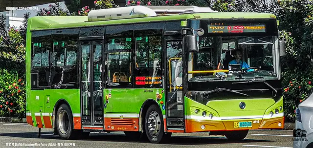 桂A 04448D