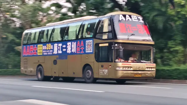 800BUS