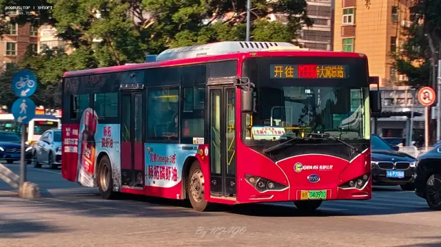 M396-04091D