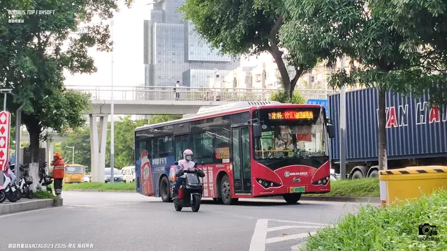 800BUS