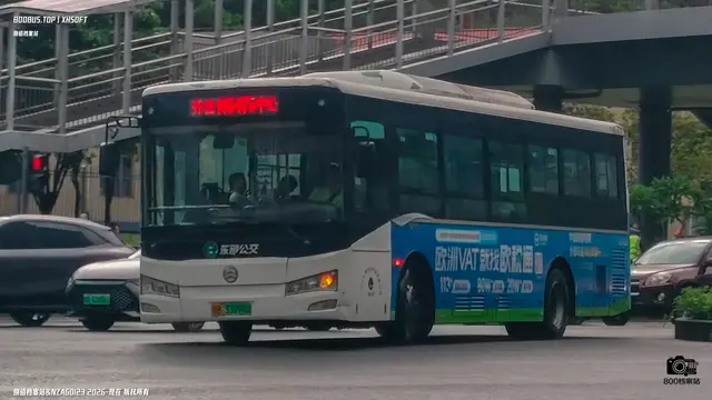 800BUS