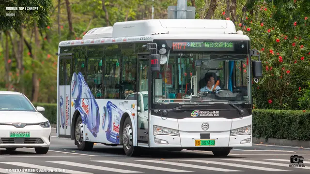 800BUS