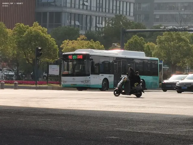 800BUS