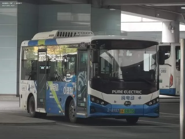 浙A03879D