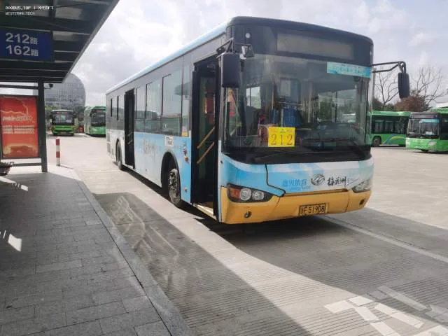 浙F51908