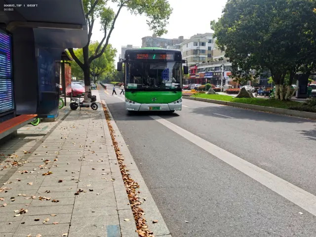 800BUS
