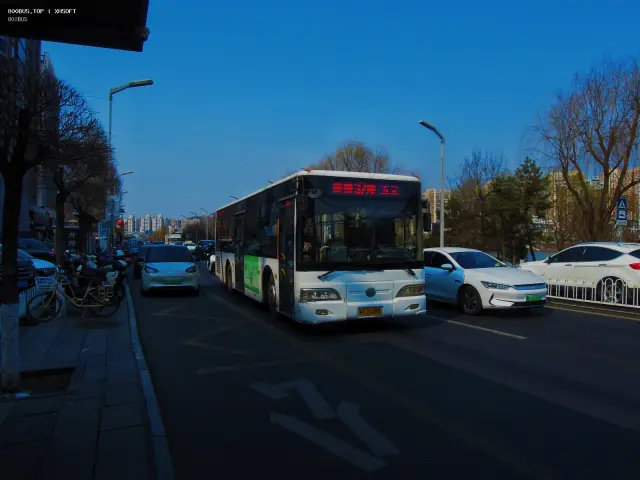 800BUS
