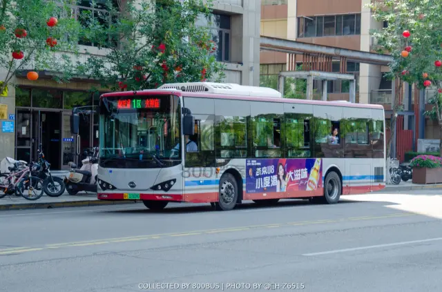 冀H 02009D