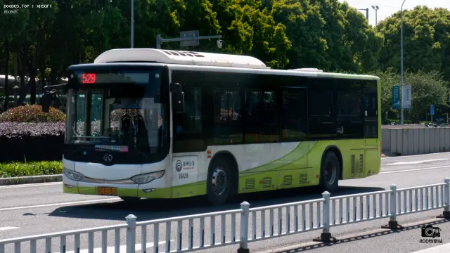 800BUS