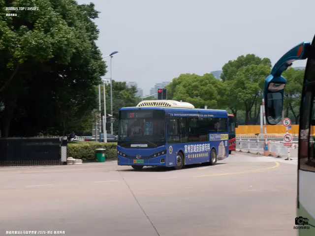 苏D 09687D